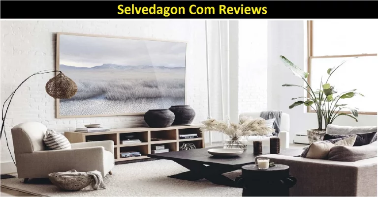 Selvedagon Com Reviews – Shop Smartly for Decorative Items!