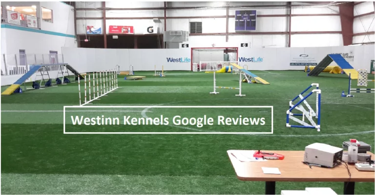 Westinn Kennels Google Reviews and Services [2022]