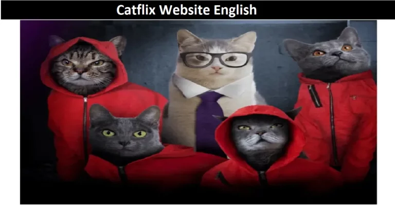 Catflix Website English [2022] – All You Need To Know!