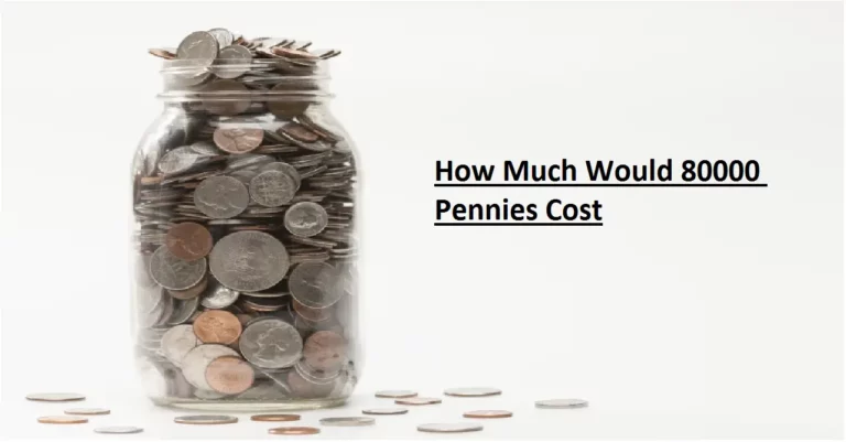 How Much Would 80000 Pennies Cost [2022] – Let Us Know Here!
