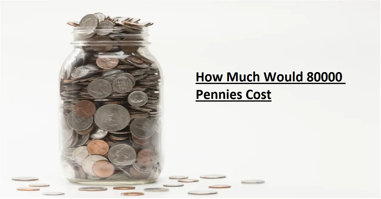 How Much Would 80000 Pennies Cost